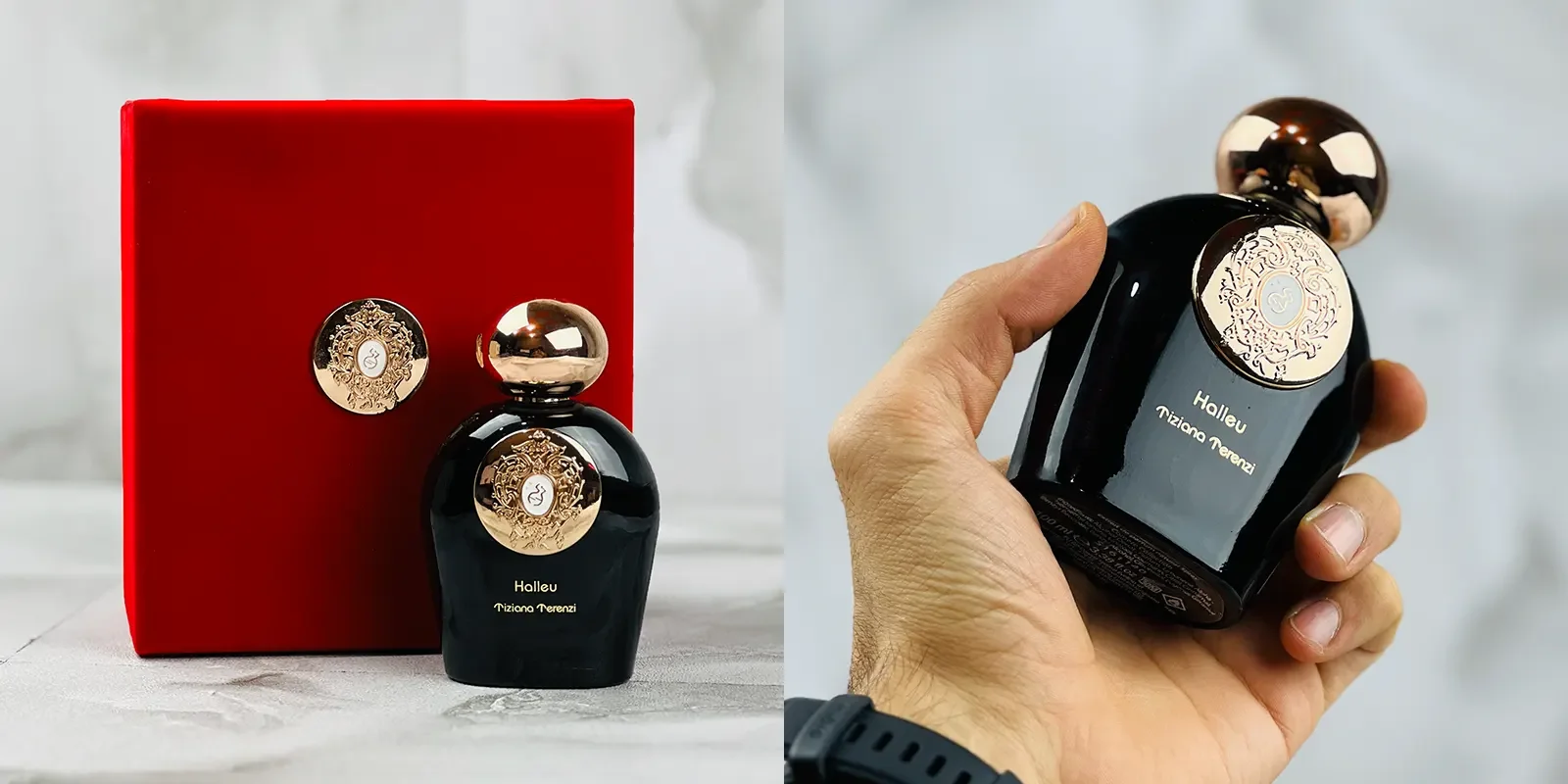 عطر ادکلن تیزیانا ترنزی هالی