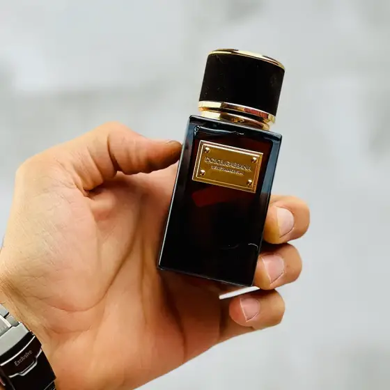 عطر ادکلن دولچه گابانا ولوت امبر سان 50 میل