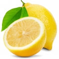 Italian Lemon - لیمو ایتالیایی