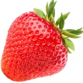 Strawberry - توت فرنگی