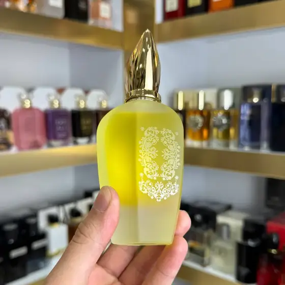 عطر ادکلن زرجف ایکس جی 1861 ناکسوس 100 میل